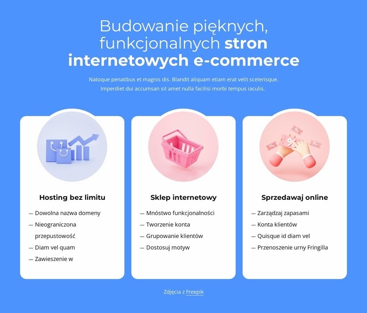 Budowanie witryn e-commerce Szablon