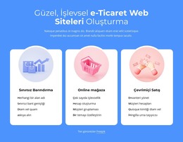 E-Ticaret Siteleri Kurmak - Duyarlı Web Sitesi