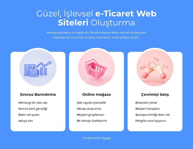 E-ticaret siteleri kurmak Şablon