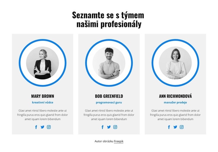 Školení vašeho personálu Téma WordPress