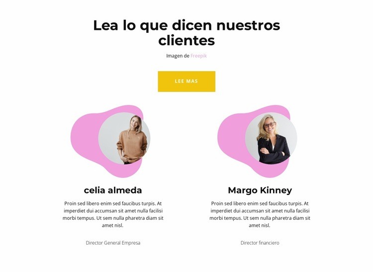 Calificación del programa Diseño de páginas web