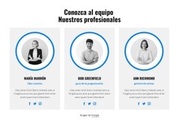 Formación De Su Personal