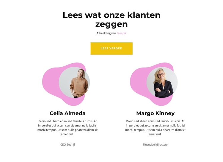 Programmabeoordeling WordPress-thema