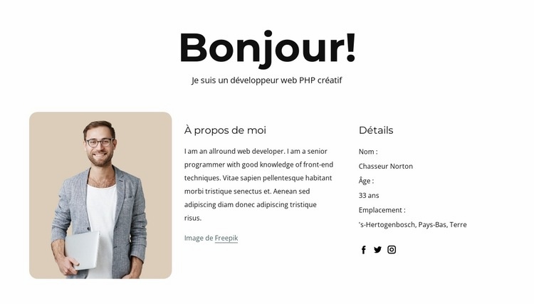 Profil développeur php Modèles de constructeur de sites Web