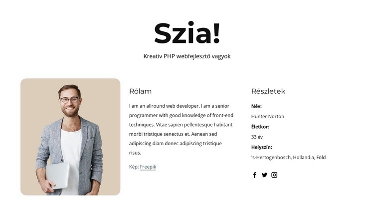 Php fejlesztői profil HTML Sablon