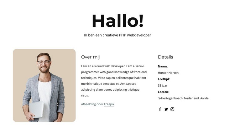 PHP-ontwikkelaarsprofiel Sjabloon voor één pagina