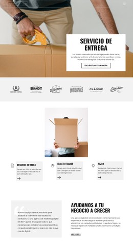 Entrega Rápida Y De Alta Calidad Plantilla Gratuita
