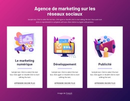 Agence De Marketing Sur Les Réseaux Sociaux - Maquette De Conception Web