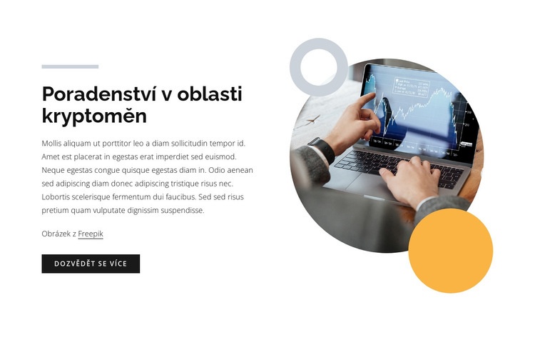 Poradenství v oblasti kryptoměn Šablona CSS