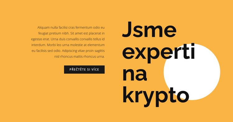 Konzultační text o kryptoměně Šablona HTML