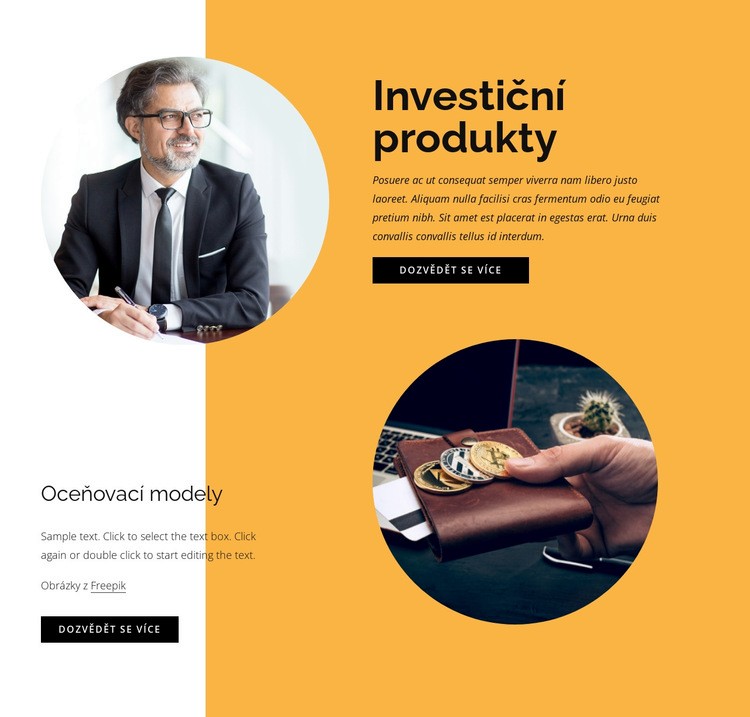 Investiční produkty Šablona webové stránky