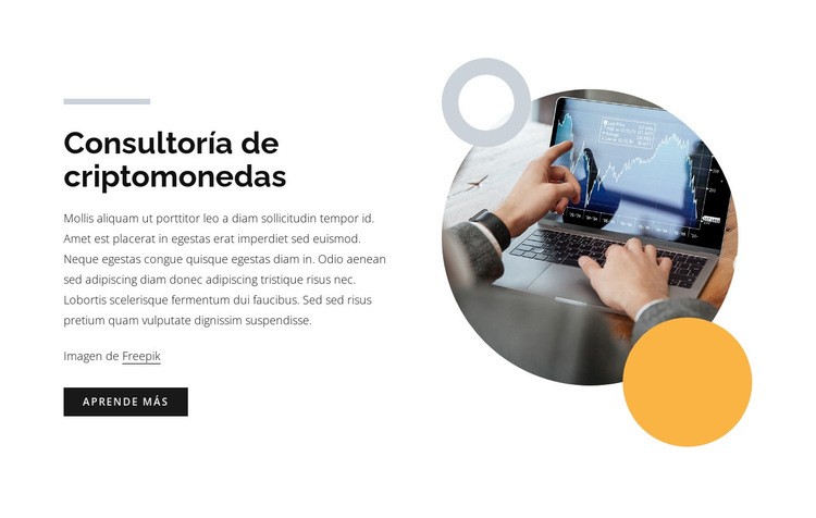 Consultoría de criptomonedas Creador de sitios web HTML