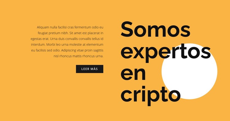 Texto de consulta sobre criptomonedas Plantillas de creación de sitios web