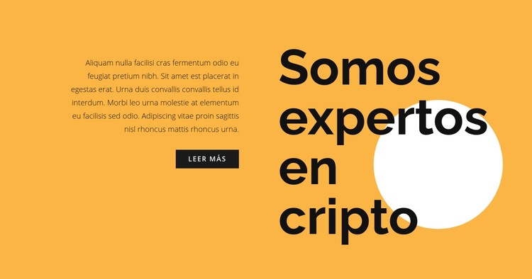 Texto de consulta sobre criptomonedas Plantilla CSS