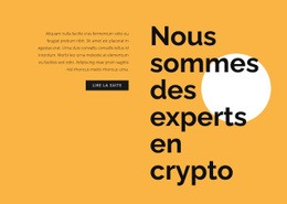 Texte De Consultation De Crypto-Monnaie - Créateur De Sites Web Pour N'Importe Quel Appareil