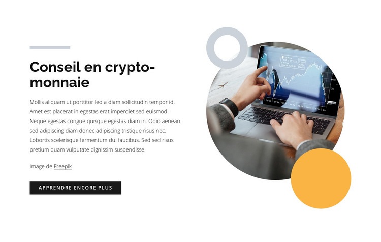 Conseil en crypto-monnaie Maquette de site Web