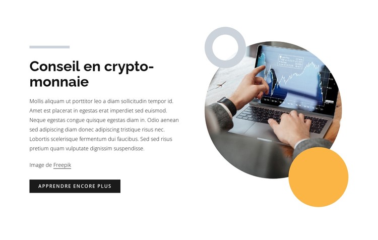 Conseil en crypto-monnaie Modèle CSS