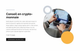 Conseil En Crypto-Monnaie - Page De Destination À Conversion Élevée