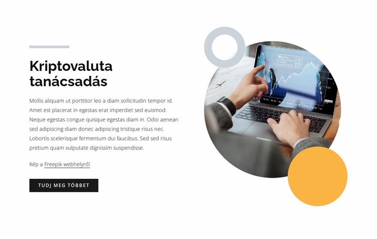 Kriptovaluta tanácsadás WordPress Téma