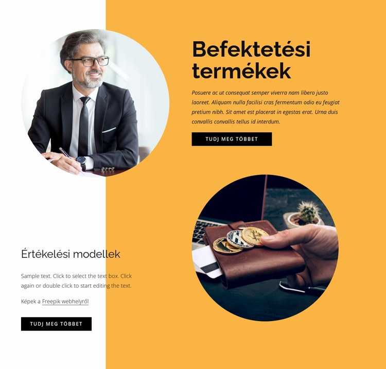 Befektetési termékek WordPress Téma