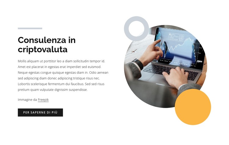 Consulenza in criptovaluta Modello CSS