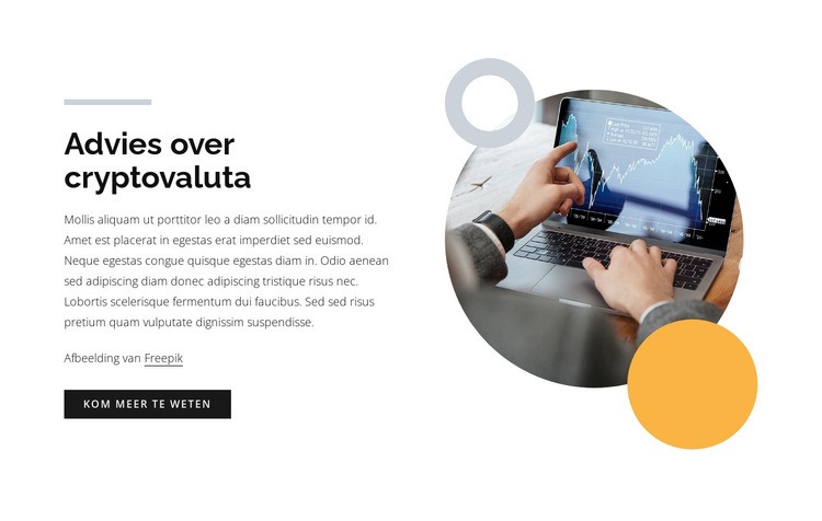 Advies over cryptocurrency Website mockup