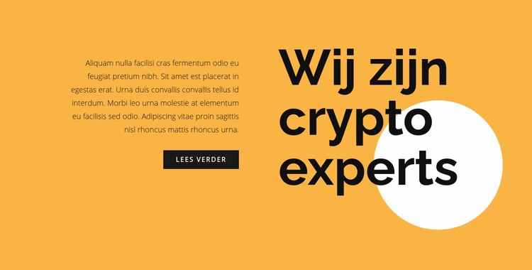 Cryptocurrency consulting tekst Website ontwerp