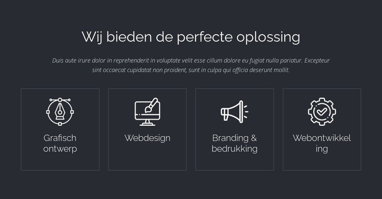 Perfecte weboplossingen Website ontwerp