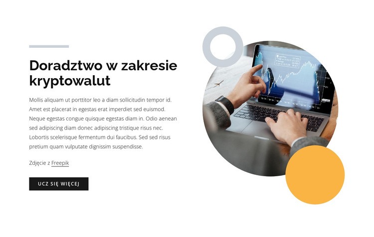 Doradztwo w zakresie kryptowalut Projekt strony internetowej