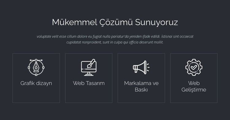 Mükemmel web çözümleri CSS Şablonu