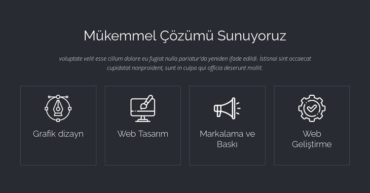 Mükemmel web çözümleri HTML Şablonu