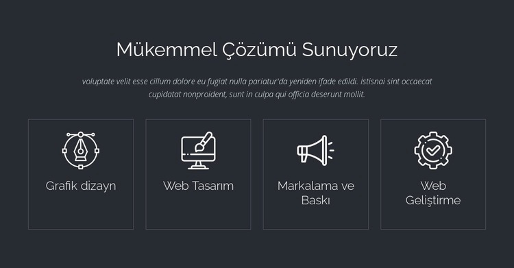 Mükemmel web çözümleri Şablon