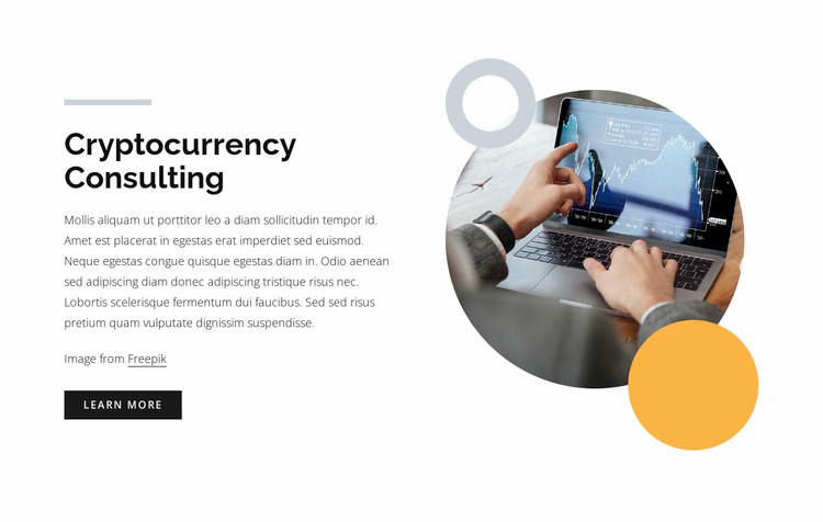 Cryptocurrency consulting WordPress Website Builder