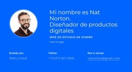 Diseñador De Productos Digitales Elementor Constructor De Páginas