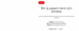 Konseptimiz Için Duyarlı Web Şablonu