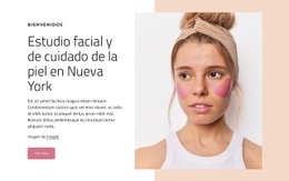 Estudio Facial Y De Cuidado De La Piel En Nueva York - Mejor Creador De Sitios Web