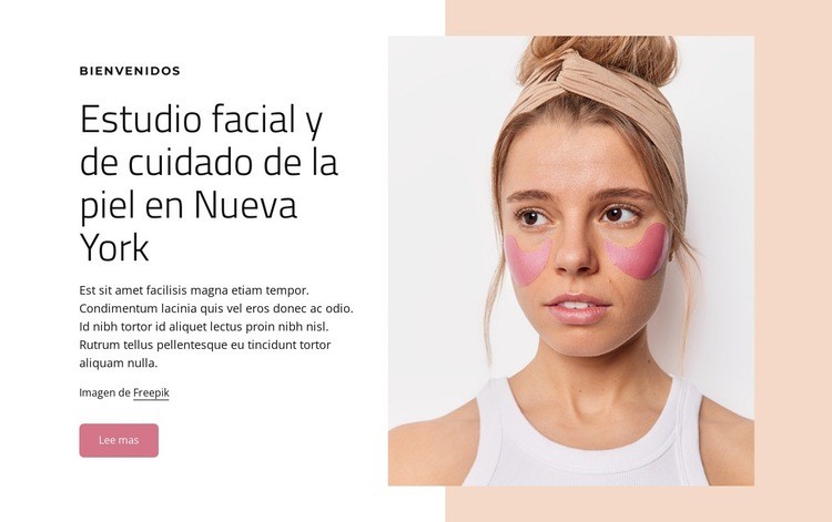 Estudio facial y de cuidado de la piel en Nueva York Maqueta de sitio web