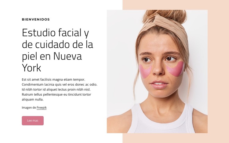 Estudio facial y de cuidado de la piel en Nueva York Plantilla CSS