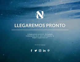 Venimos Pronto - Ver La Función De Comercio Electrónico