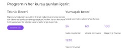 Tamamladıktan Sonra Site Şablonu