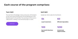 After Completing - Professional WordPress Theme