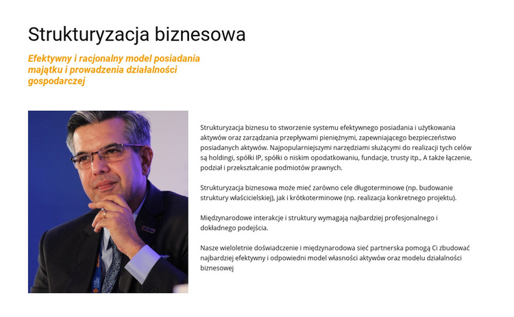 Strukturyzacja biznesu Motyw WordPress