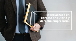 Ley De Impuesto - Plantilla De Sitio Web Profesional