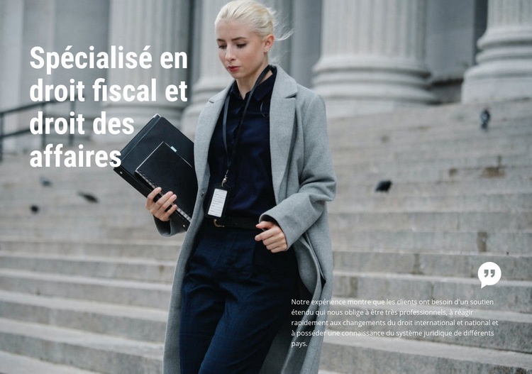 Droit des affaires Conception de site Web