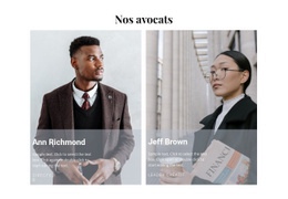 Nos Meilleurs Avocats - Maquette De Site Web PSD