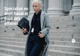 Droit Des Affaires Modèle Gratuit