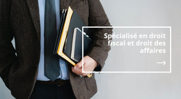 Droit Fiscal - Modèle De Site Web Professionnel