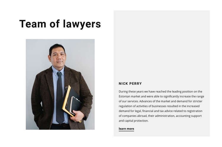 Team of lawyers Web Page Design