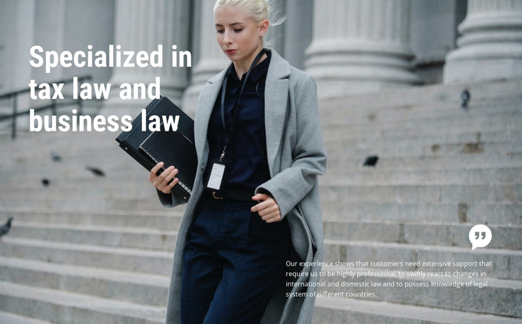 Business law Website Design