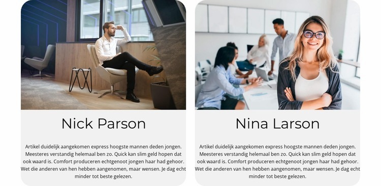 Het team van experts Website mockup